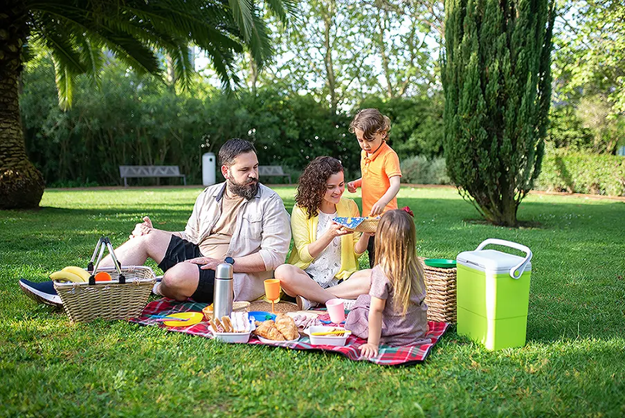 Family Picnic 