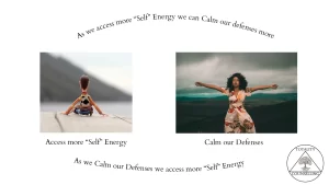 More Self - Calm Defenses Cycle