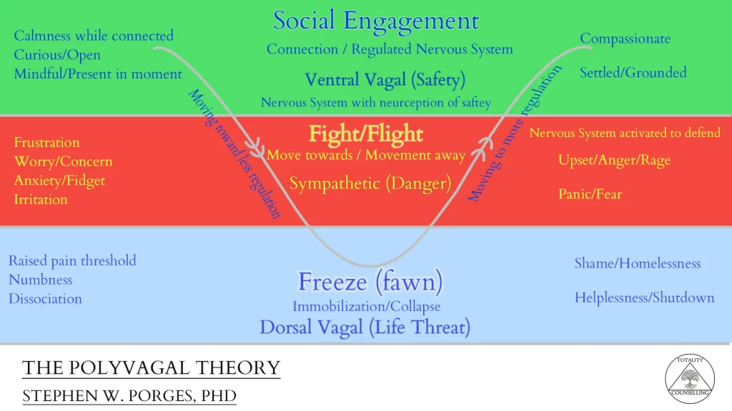 Psychological Defences &nbsp;– What are they and why do I care?
